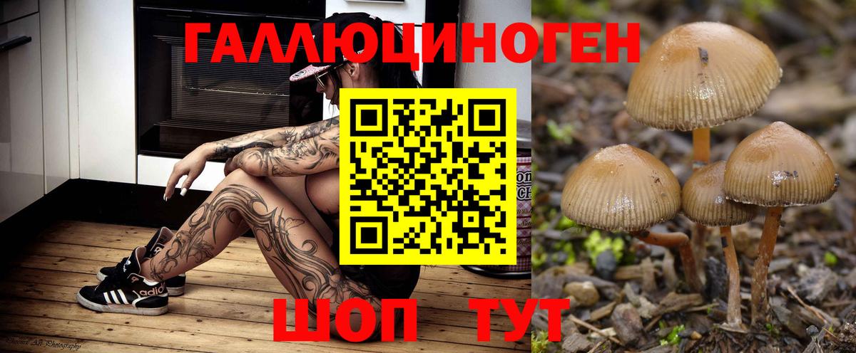 Псилоцибиновые грибы MAGIC MUSHROOMS  Вход с VPN  Елизово 